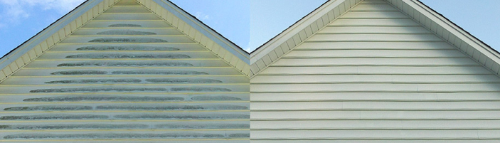 philadelphia house washing